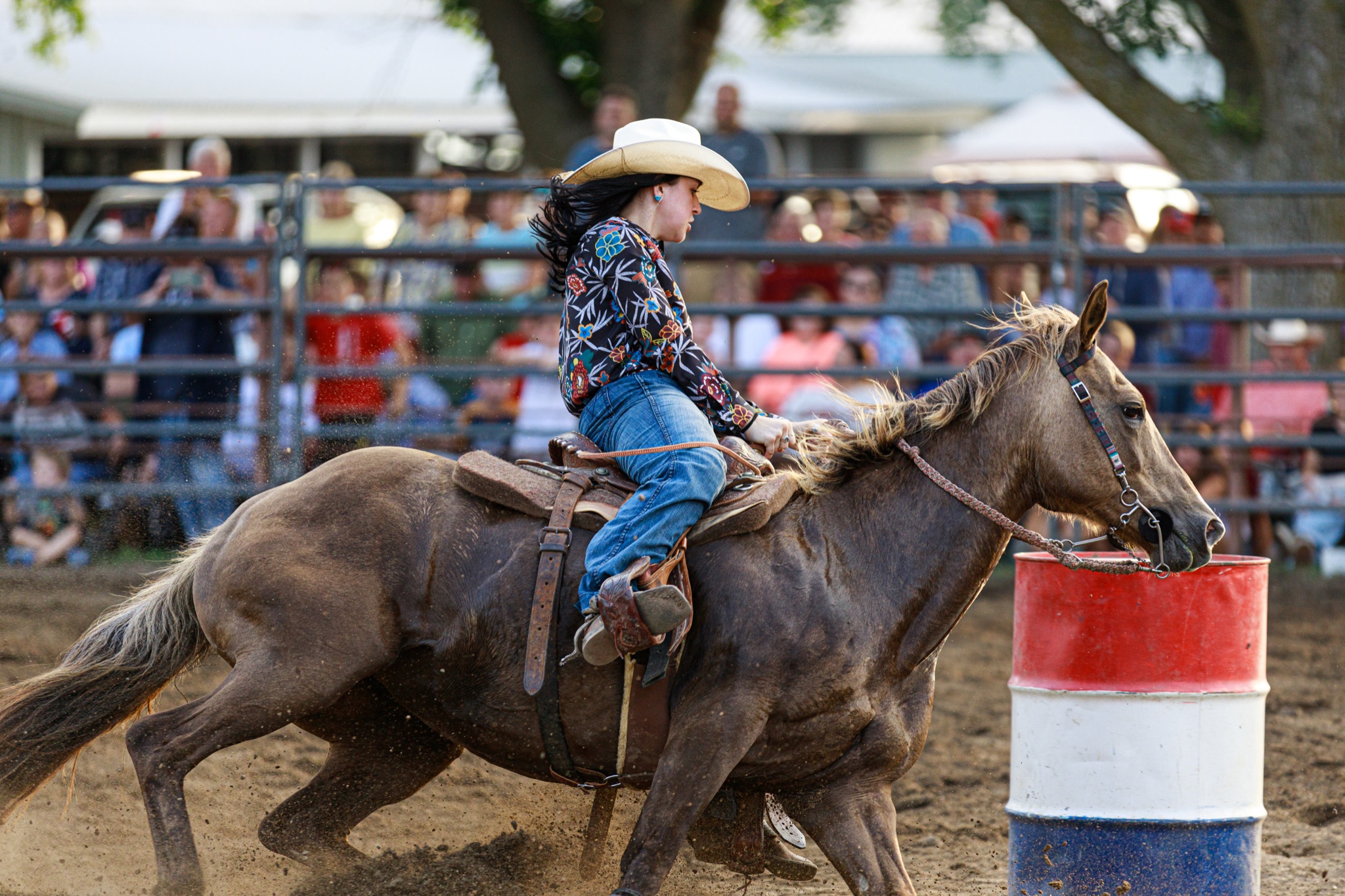 Barrel Racing Battle with the Bulls